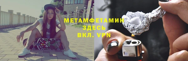 сатива Новокубанск