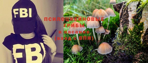 твердый Няндома