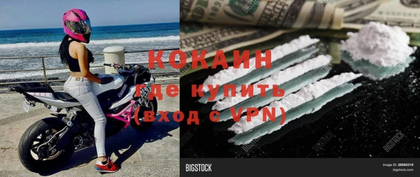 мяу мяу мука Новозыбков
