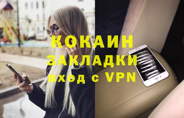 твердый Няндома