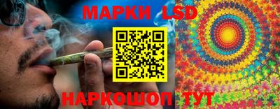 индика Гусиноозёрск