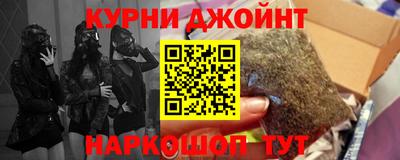 сатива Будённовск