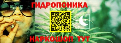 таблы Гусев