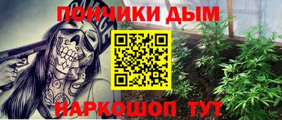 индика Гусиноозёрск