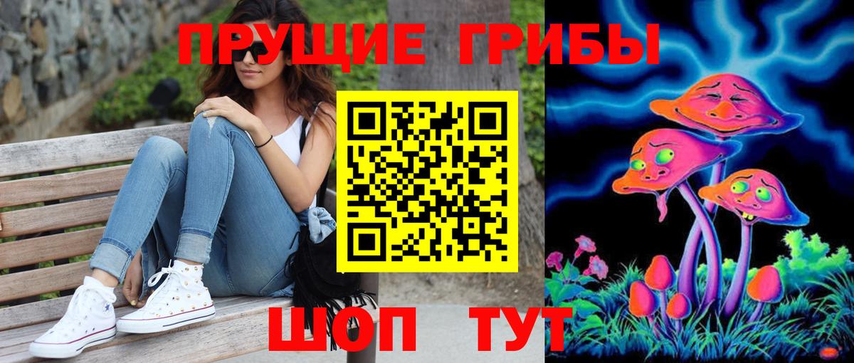 Псилоцибиновые грибы мицелий  Кирово-Чепецк 