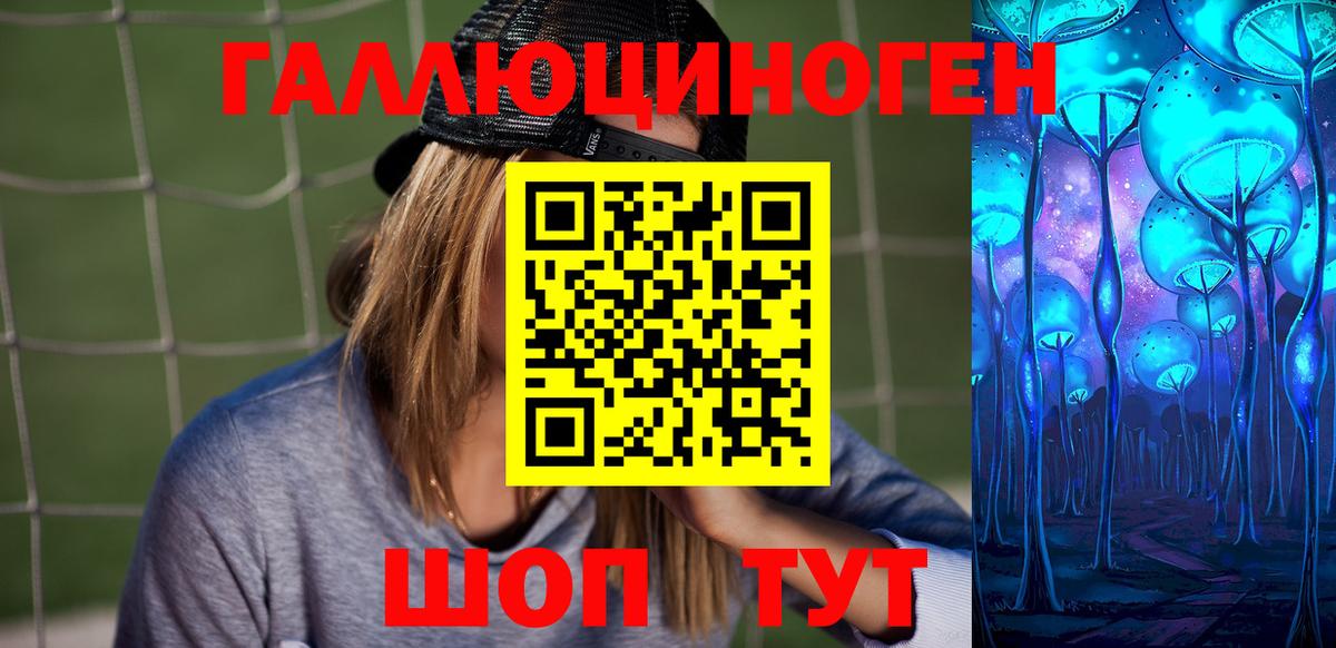Псилоцибиновые грибы Psilocybe Кирово-Чепецк