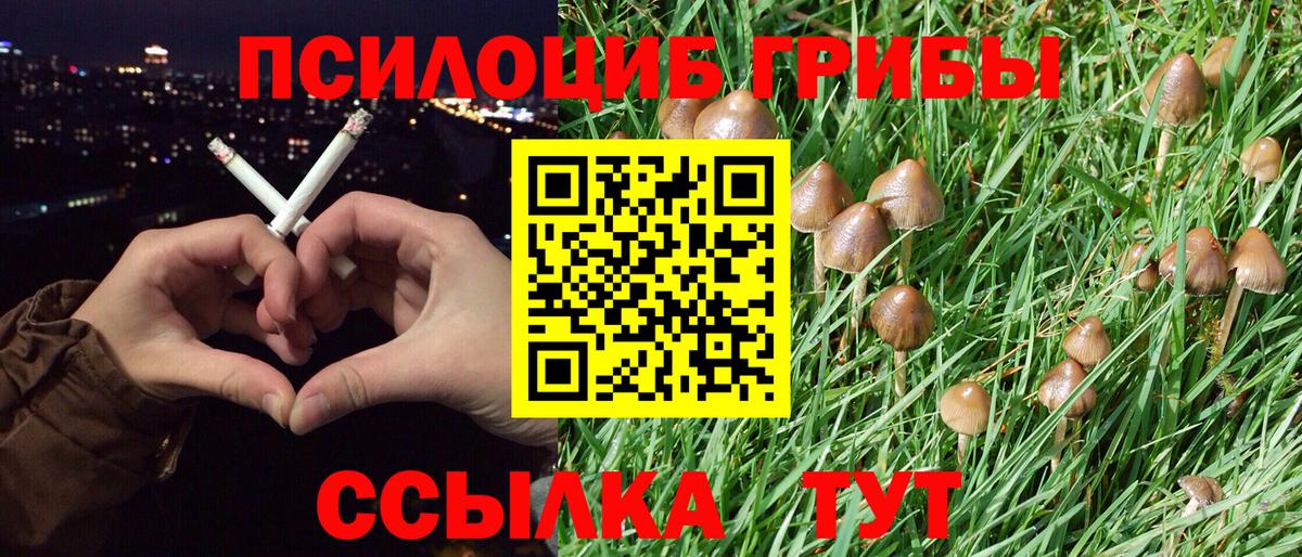 Кирово-Чепецк  Псилоцибиновые грибы GOLDEN TEACHER  Вход с VPN 